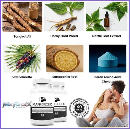 ManForceX Ingredients